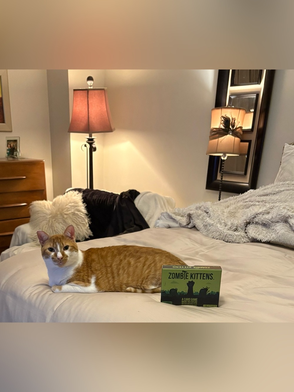 Zombie Kittens Card Game - Green Box